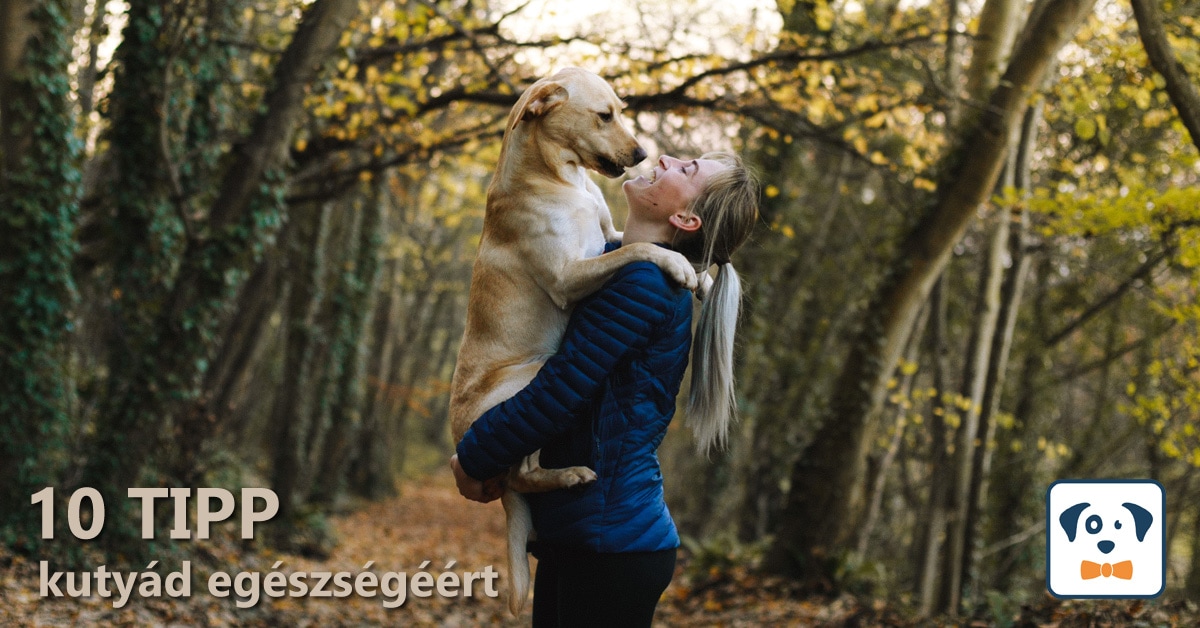 Read more about the article 10+1 tipp kutyád és a Te egészséged megőrzéséhez